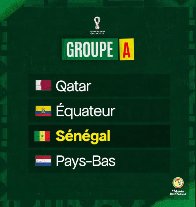 Sénégal vs Pays-Bas : La réaction du sélectionneur néerlandais Sénégal vs Pays-Bas : La réaction du sélectionneur néerlandais