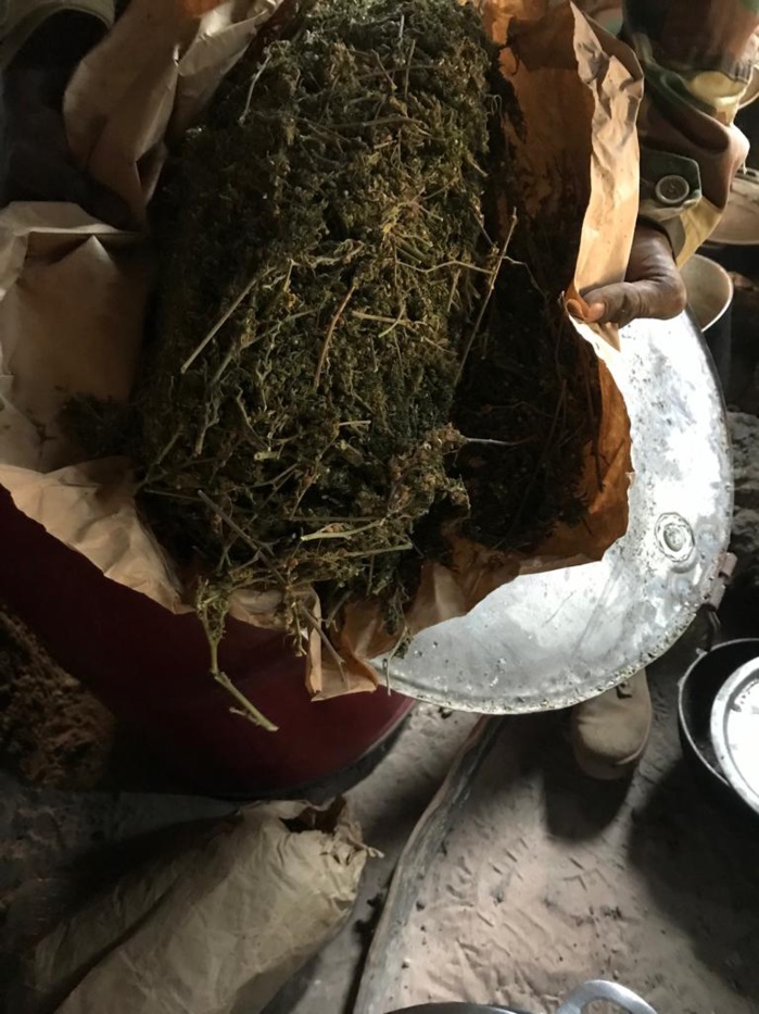 L'Armée frappe encore au coeur la faction Mfdc de Paul Bassène : une hallucinante saisie de Yamba (photos)
