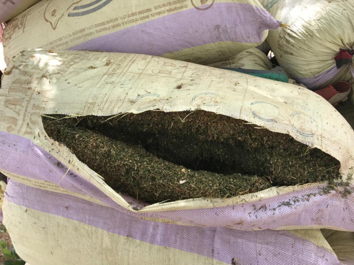 L'Armée frappe encore au coeur la faction Mfdc de Paul Bassène : une hallucinante saisie de Yamba (photos)