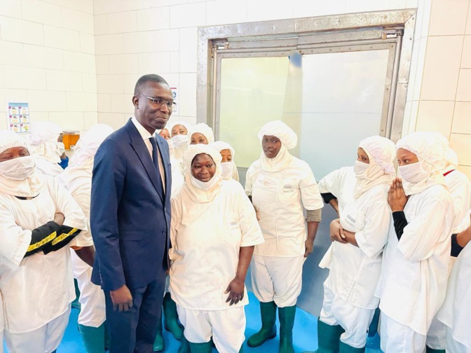 Convention Etat-Employeurs : Le Ministre Dame Diop signe 33 contrats et crée 1 023 nouveaux emplois en CDD Convention Etat-Employeurs : Le Ministre Dame Diop signe 33 contrats et crée 1 023 nouveaux emplois en CDD