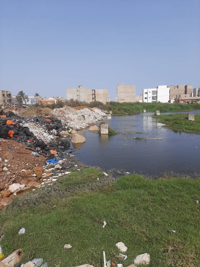Occupation illicite : Arrestation des fossoyeurs du marigot de Mbao par la DSCOS Occupation illicite : Arrestation des fossoyeurs du marigot de Mbao par la DSCOS