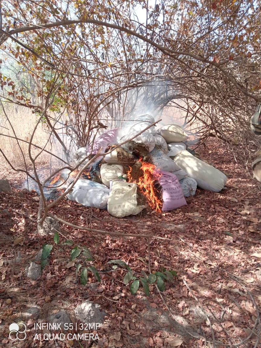 Djoundji, Elol, Guinea Djadioubé, Massaran: ces villages cartels démantelés par l'Armée, incroyables découvertes Djoundji, Elol, Guinea Djadioubé, Massaran: ces villages cartels démantelés par l'Armée, incroyables découvertes