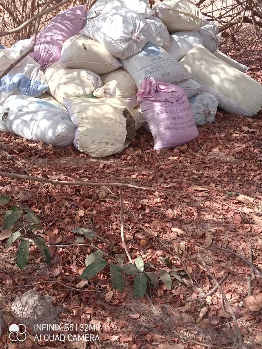 Djoundji, Elol, Guinea Djadioubé, Massaran: ces villages cartels démantelés par l'Armée, incroyables découvertes Djoundji, Elol, Guinea Djadioubé, Massaran: ces villages cartels démantelés par l'Armée, incroyables découvertes