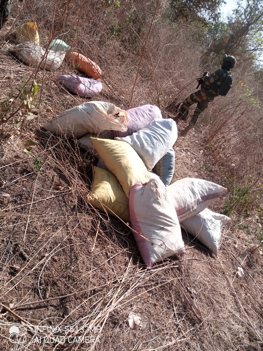 Djoundji, Elol, Guinea Djadioubé, Massaran: ces villages cartels démantelés par l'Armée, incroyables découvertes