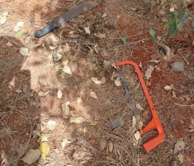 TER - Saccage de biens publics : Mountaga Sy, DG de l’APIX, dénonce un forfait « criminel » et annonce une plainte contre X TER - Saccage de biens publics : Mountaga Sy, DG de l’APIX, dénonce un forfait « criminel » et annonce une plainte contre X