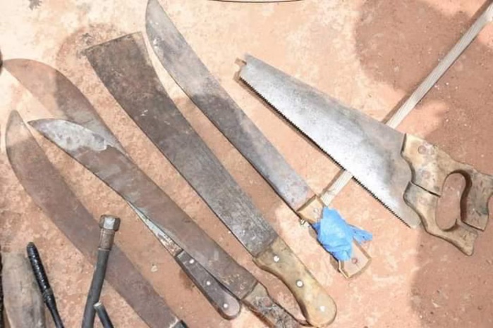 TER / la gendarmerie fait une incroyable découverte : les câbles retrouvés à la Cité imbécile (photos) TER / la gendarmerie fait une incroyable découverte : les câbles retrouvés à la Cité imbécile (photos)