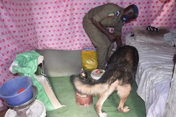 TER / la gendarmerie fait une incroyable découverte : les câbles retrouvés à la Cité imbécile (photos)