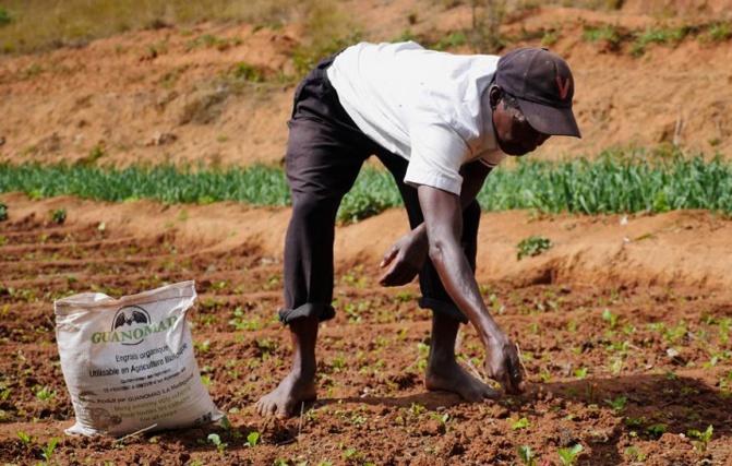 Kaolack : Alors que la saison des pluies s’installe… La rareté et la cherté de l’engrais inquiètent les paysans