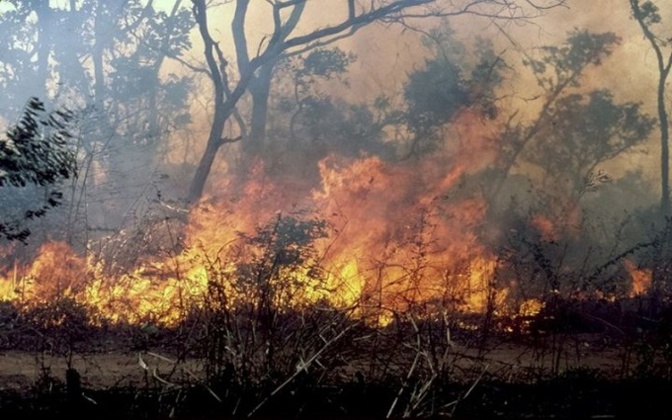 Podor : Trois morts dans un feu de brousse à Doumnga-Lao
