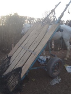 Accident mortel à Koumpentoum : Le cheval fou de A. Bâ se déchaîne et le tue