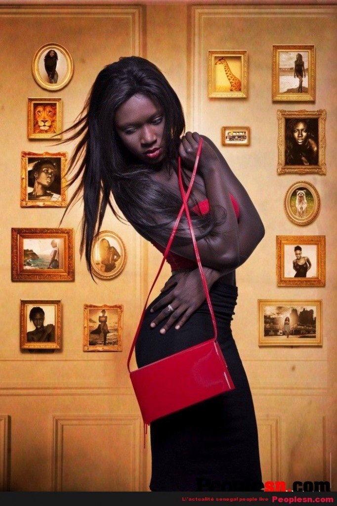 La séduisante top modèle Ébène Diop 