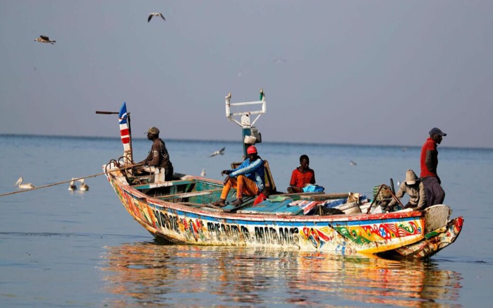Journée des Océans: Les pêcheurs s’attaquent aux entreprises de farine de poisson
