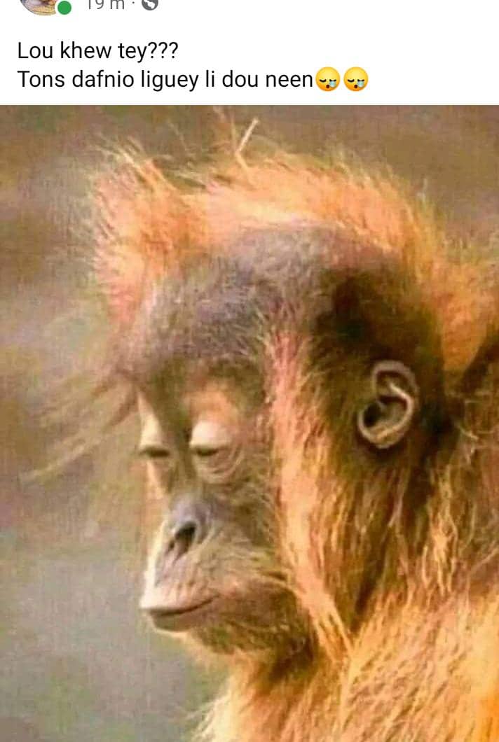 2ème journée concert casseroles : le "fiasco" commenté sur les réseaux sociaux 2ème journée concert casseroles : le "fiasco" commenté sur les réseaux sociaux