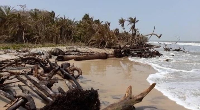Commune de Diembéring : L’avancée de la mer menace l’écosystème de Nikine