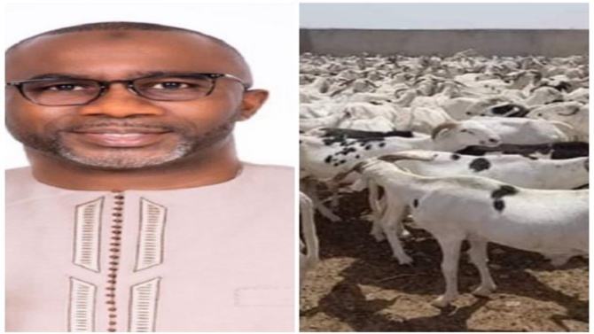 Secours Tabaski à Ziguinchor : Doudou Kâ, DG Aibd, distribue 400 moutons aux familles de sa base politique