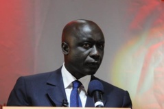Idrissa Seck, un chat friand de poissons et qui déteste la nage - Par Lamine Ngom