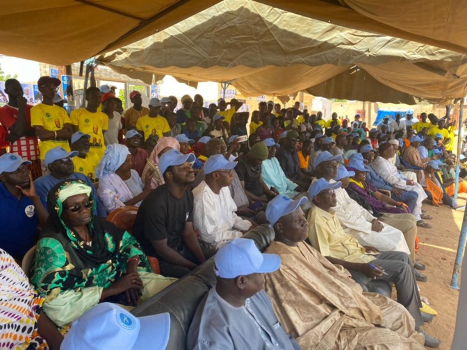J-14 de la Tournée nationale de la Grande Coalition Wallu Sénégal : Plusieurs localités allant de Podor à Dagana, au menu