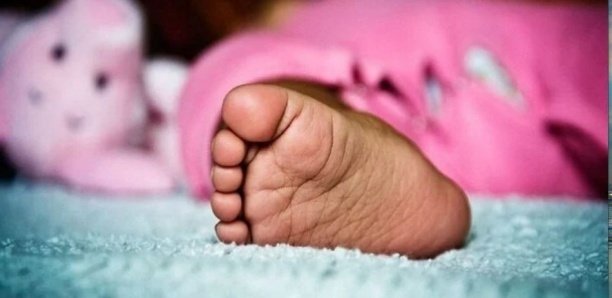 Horreur : le bébé de 2 ans confondu à un lapin, égorgé par...