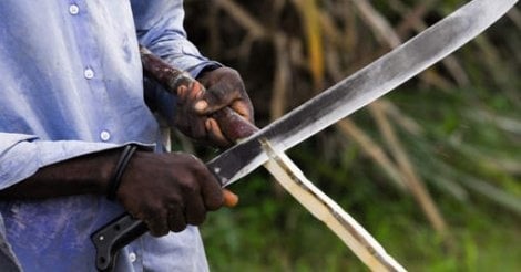 Ndande: Avec sa machette, Bathie Ka écrase le crâne de son père