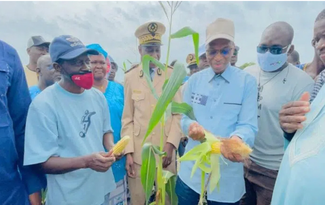 Développement de l’agriculture: Moussa Baldé annonce la construction de 1000 nouvelles fermes agricoles