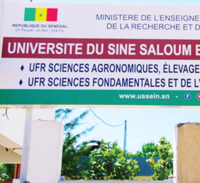 Kaolack Gestion de l’université du Sine Saloum El Hadji Ibrahima Niass : Les enseignants chargent le Rectorat