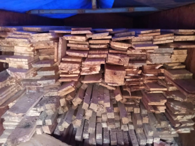 Les Eaux et Forêts portent l'estocade à un réseau de trafiquants de bois Les Eaux et Forêts portent l'estocade à un réseau de trafiquants de bois