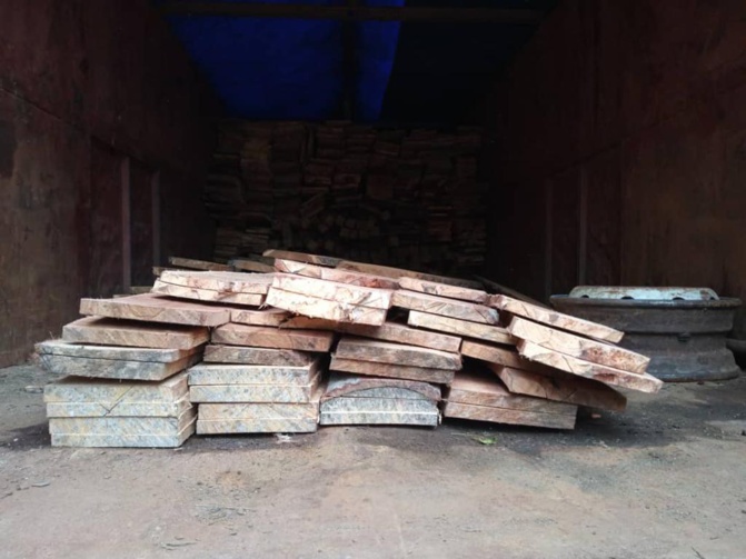 Les Eaux et Forêts portent l'estocade à un réseau de trafiquants de bois Les Eaux et Forêts portent l'estocade à un réseau de trafiquants de bois