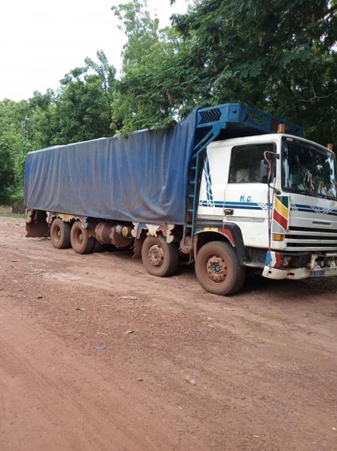 Les Eaux et Forêts portent l'estocade à un réseau de trafiquants de bois Les Eaux et Forêts portent l'estocade à un réseau de trafiquants de bois