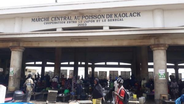 Kaolack: Les mareyeurs ferment le marché aux poissons