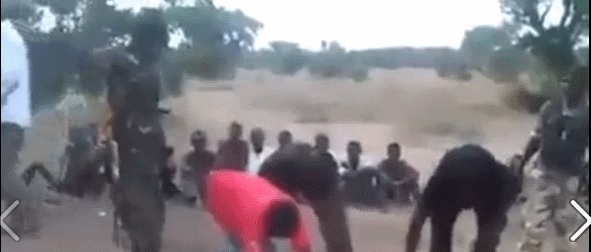[ Âme sensible s'abstenir ] On les tue parce qu’ils sont musulmans...