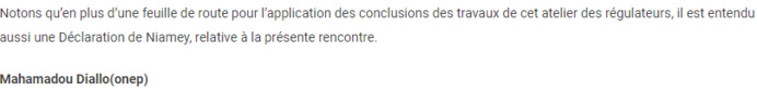 Babacar Diagne reçu par le Pm nigérien