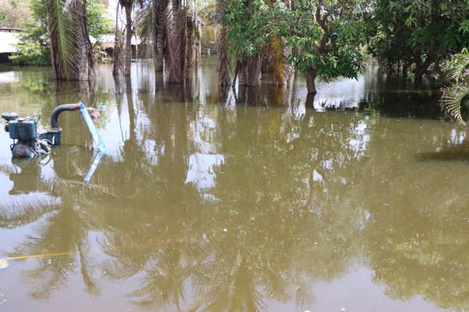 Inondations à Sangalkam:  Le ministre Oumar Gueye en visite de terrain préconise des solutions urgentes