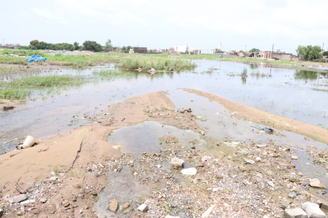 Inondations à Sangalkam:  Le ministre Oumar Gueye en visite de terrain préconise des solutions urgentes