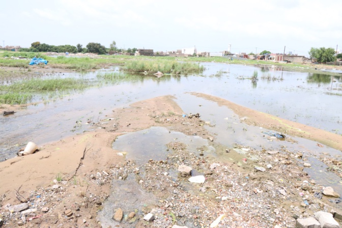 Inondations à Sangalkam: Le ministre Oumar Gueye en visite de terrain préconise des solutions urgentes