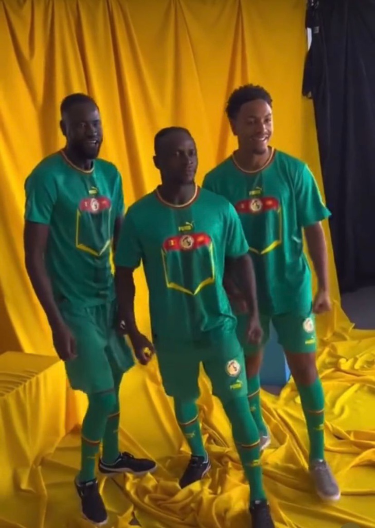 Qatar 2022: Le nouveau maillot de Puma pour les "Lions", appréciez!