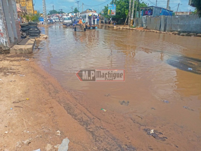 Image du jour :  A Darou Mouhty, après la pluie c'est le..... !
