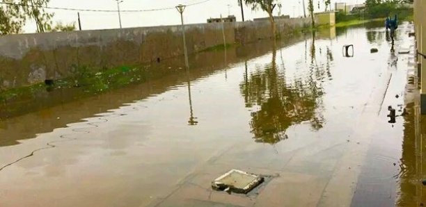 Dégâts des inondations à Fatick : Des maisons sous les eaux, des cases tombées, des champs submergés…