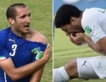 Chiellini : "La suspension de Suarez est trop excessive"