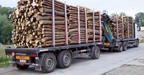 Kédougou : 356 troncs d’arbres saisis ce week-end