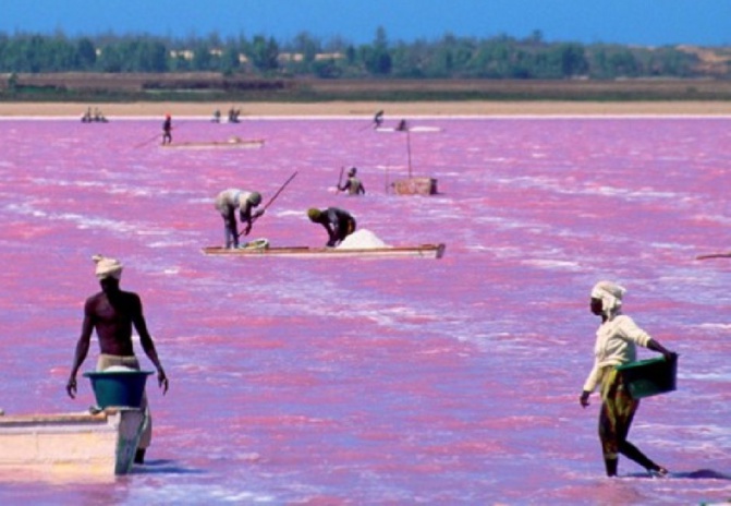 Agressions contre le Lac Rose : L’Etat fait le point sur ce site naturel classé Agressions contre le Lac Rose : L’Etat fait le point sur ce site naturel classé