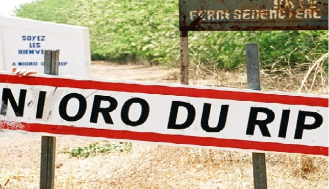 Remous au Sein de l’APR à Nioro du Rip : Bara Ndiaye et Cie fustigent la gestion du coordonnateur départemental