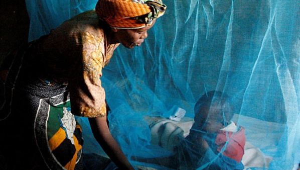 Paludisme: des mesures préventives ciblant les femmes enceintes
