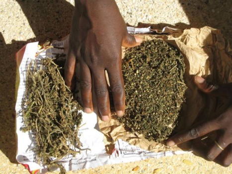 ASSISES DAKAR – TRAFIC INTERNATIONAL DE DROGUE «Piégée» par son petit-ami, la Française de 26 ans acquittée après 4 ans de détention