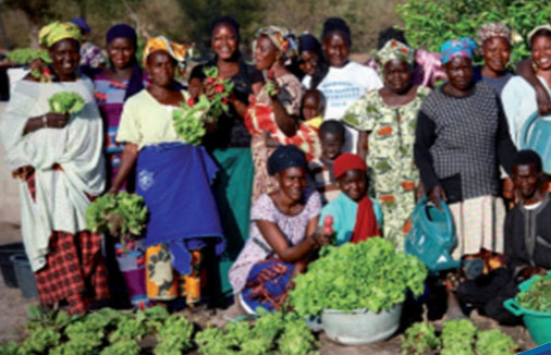 Le Sénégal parmi les trois pays visés par une campagne de vulgarisation des droits fonciers des femmes