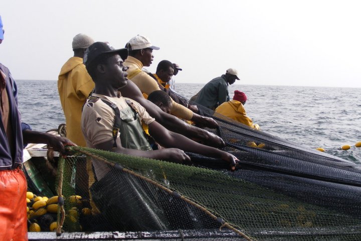 Mise sur le marché d’une espèce de poisson toxique: Le Ministère de la Pêche rappelle l’interdiction faite aux opérateurs
