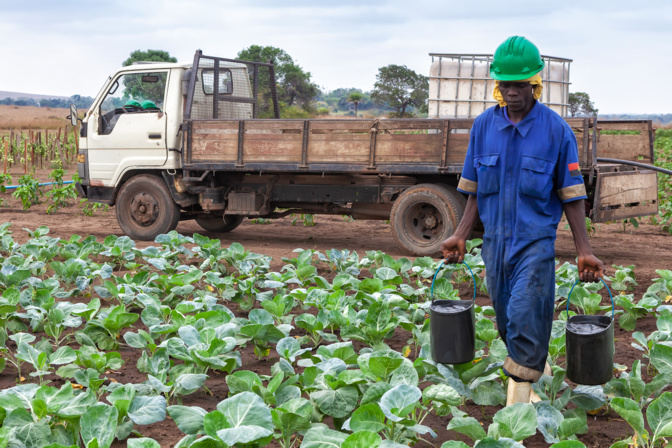 Afrique subsaharienne: Le FMI exige le renforcement de la sécurité alimentaire