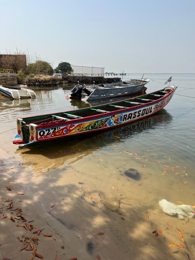Foundiougne : 507 kilos de yamba saisis par la Douane