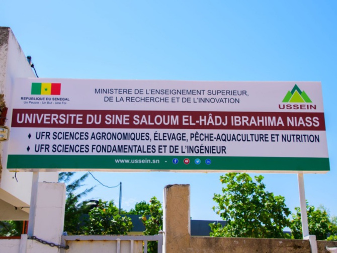 Université du Sine Saloum El Hadji Ibrahima Niass : Le campus de Fatick dépourvu de tout
