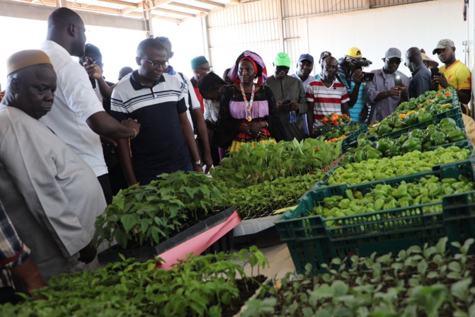 En visite au DAC de Sefa: Djimo Souaré, nouveau coordonnateur du Prodac veut impulser un modèle abouti En visite au DAC de Sefa: Djimo Souaré, nouveau coordonnateur du Prodac veut impulser un modèle abouti