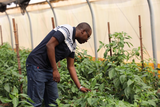 En visite au DAC de Sefa: Djimo Souaré, nouveau coordonnateur du Prodac veut impulser un modèle abouti